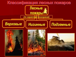 Лесные и торфяные пожары, слайд 16