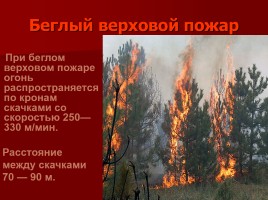 Лесные и торфяные пожары, слайд 18