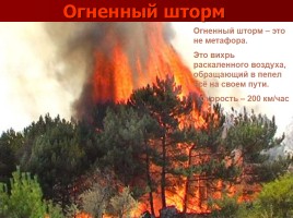 Лесные и торфяные пожары, слайд 22