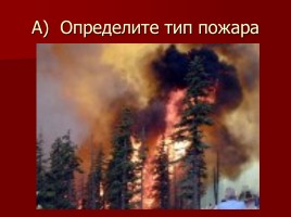 Лесные и торфяные пожары, слайд 33