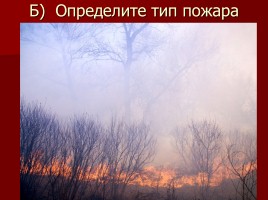 Лесные и торфяные пожары, слайд 34