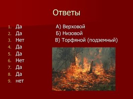 Лесные и торфяные пожары, слайд 36