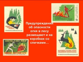 Лесные и торфяные пожары, слайд 38