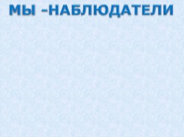 Урок-проект «Разнообразие грибов», слайд 11