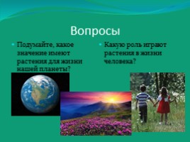 Растительный мир, слайд 15