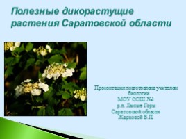 Полезные дикорастущие растения Саратовской области, слайд 1