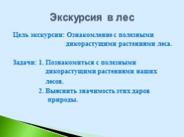Полезные дикорастущие растения Саратовской области, слайд 2
