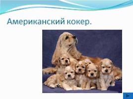 Породы собак, слайд 8