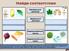 Проверь свои знания по теме «Побег», слайд 6