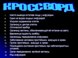 Простейшие - Внешнее строение и образ жизни, слайд 30