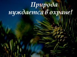 Научная работа «Особо охраняемые природные территории Нижегородской области», слайд 2