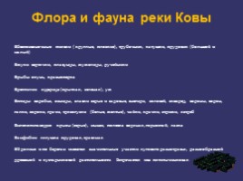 Научная работа «Особо охраняемые природные территории Нижегородской области», слайд 23