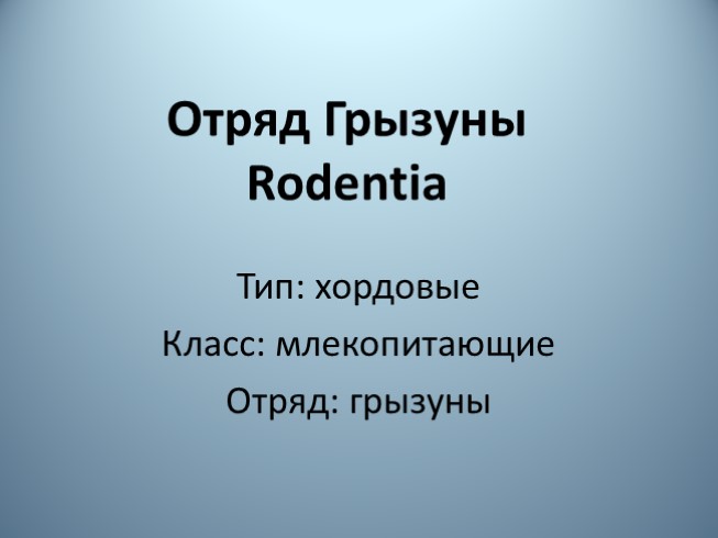 Отряд Грызуны (Rodentia)