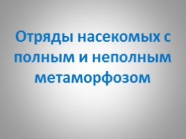 Отряды насекомых с полным и неполным метаморфозом, слайд 4