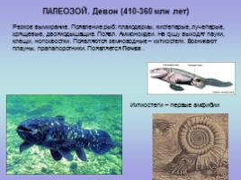 Палеонтология (для 5-7 классов), слайд 10