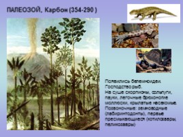 Палеонтология (для 5-7 классов), слайд 11