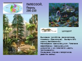 Палеонтология (для 5-7 классов), слайд 12