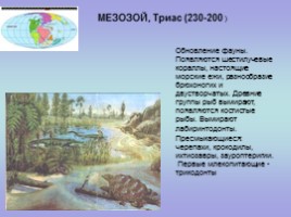 Палеонтология (для 5-7 классов), слайд 13