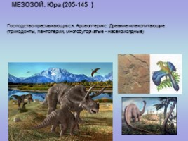 Палеонтология (для 5-7 классов), слайд 14