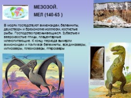 Палеонтология (для 5-7 классов), слайд 15