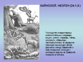 Палеонтология (для 5-7 классов), слайд 18