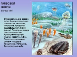 Палеонтология (для 5-7 классов), слайд 7