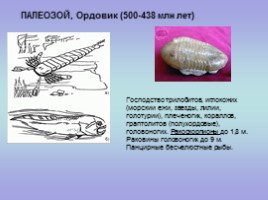 Палеонтология (для 5-7 классов), слайд 8