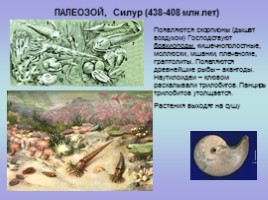 Палеонтология (для 5-7 классов), слайд 9