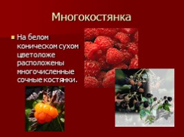 Урок-исследование «Плоды - Значение и разнообразие плодов», слайд 22