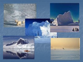 Арктическая пустыня, слайд 7