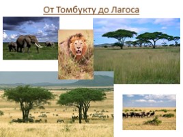 Африка: путешествие, слайд 12
