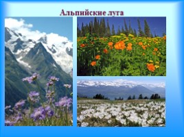 География Северного Кавказа, слайд 13