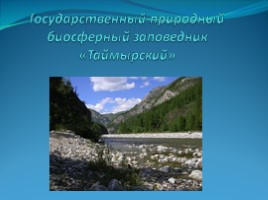 Государственный природный биосферный заповедник «Таймырский», слайд 1