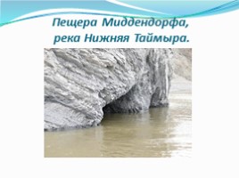 Государственный природный биосферный заповедник «Таймырский», слайд 5