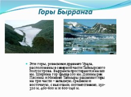 Государственный природный биосферный заповедник «Таймырский», слайд 7