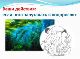 Безопасность на воде - Лето, слайд 27