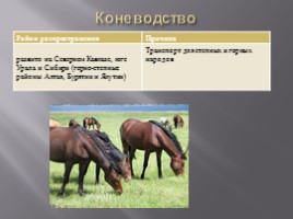 Животноводство России, слайд 8