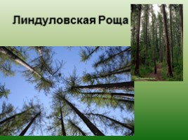 Заповедники и заказники Ленинградской области, слайд 11