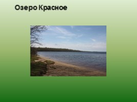 Заповедники и заказники Ленинградской области, слайд 15