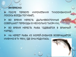 Рыбы - характеристика и классификация, слайд 15