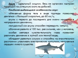 Рыбы - характеристика и классификация, слайд 6