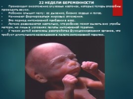 Внутриутробный период развития ребенка презентация