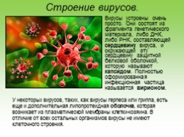 Вирусы, слайд 6