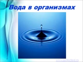 Вода в организмах, слайд 1