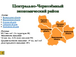 Центральная Россия, слайд 14