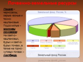 Почвы России, слайд 16
