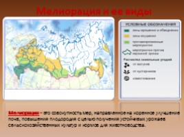 Почвы России, слайд 18