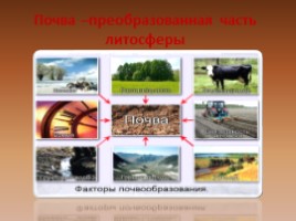 Почвы России, слайд 2