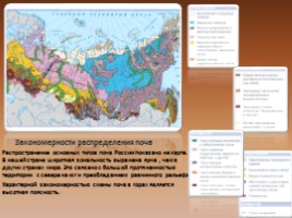 Почвы России, слайд 4