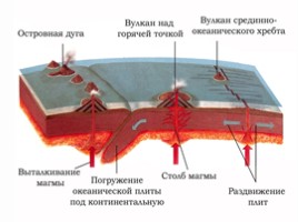 Рельеф дна Мирового Океана, слайд 19